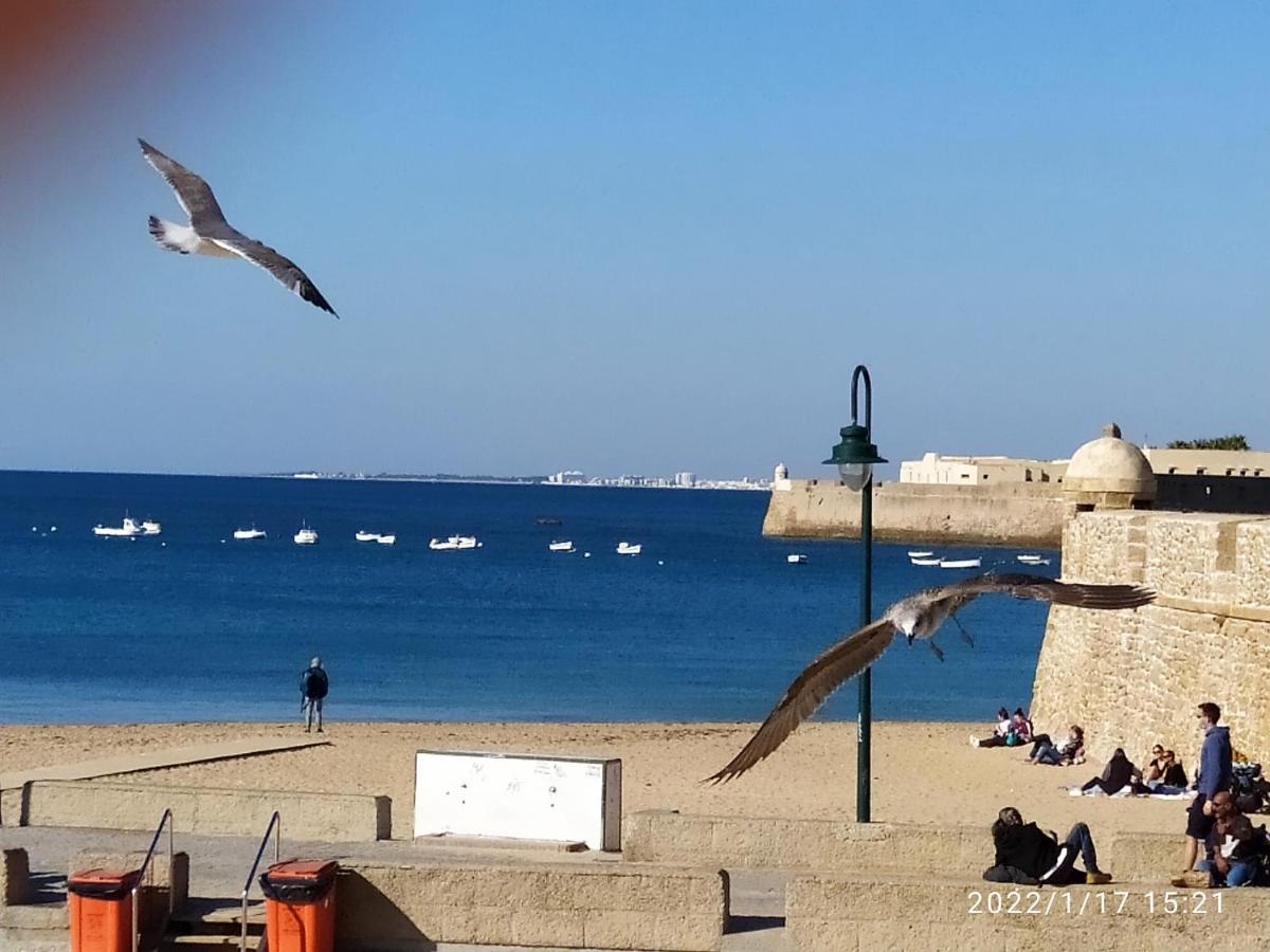 Atico Soleado Leilighet Cádiz Eksteriør bilde